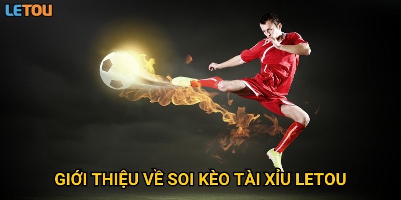 Giới thiệu về soi kèo tài xỉu Letou